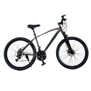 Bicicleta de Montaña 29 con Frenos de Disco de Aluminio, 21 Velocidades, Horquilla de Acero - Product Image 2