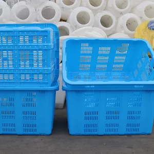 临辉Pe仓库厂家蔬菜板条箱塑料储物篮