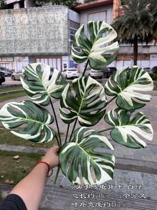 Offre Spéciale <span class=keywords><strong>grande</strong></span> plante artificielle à feuilles persistantes 7 vraies feuilles d'Alocasia Monstera pour la maison décorations de Noël Thanksgiving - Product Image 4