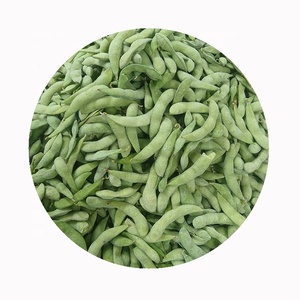 Germes de soja frais surgelés IQF biologiques en vrac, haricots edamame de qualité export, cultivés en serre, haricots pelés - Product Image 1