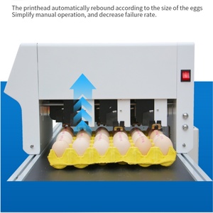 Precio de fábrica Máquina de impresora de inyección de tinta de huevo Automática Industrial de seis cabezas para marcar huevos Impresora de fecha Máquina de codificación de logotipo - Product Image 5