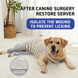 USMILEPET - Traje de Protección Postoperatoria para Perros, de Algodón, Ligero, para las Cuatro Estaciones, con Tirantes, Anti-Lamido, Anti-Mordida - Product Image 3