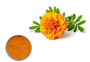 لوتين خلاصة القطيفة من الدرجة الغذائية القابلة للذوبان في الدهون ، لوتين استرات - Product Image 3