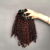 Extensions de cheveux vierges vietnamiennes de qualité supérieure, doublement étirées, cuticules alignées, boucles Funmi Pixie, couleur P4/350