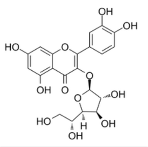Isoquercitrin Reference Standard, HPLC ≥98% cas:21637-25-2 - Product Image 1