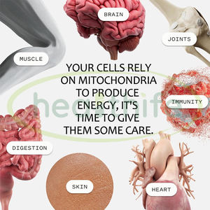 Complément alimentaire Healthife Urolithin a 500 mg avec NAD+ CoQ10 Resveratrol PQQ pour hommes et femmes - Product Image 5