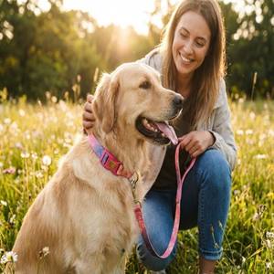 Collier pour chiens et chats YG-110, respirant, personnalisé, en nylon, dégradé, petite fleur - Product Image 2