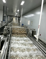 Machine Commerciale de Nettoyage et de Lavage de Fruits et Légumes, Pommes de Terre, Gingembre, Carottes, Oignons, Fruits de Mer, avec Brosse à Rouleaux et Pompe, en SUS304