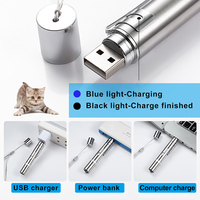 Jouet pour chat Pointeur laser en métal Pointeur laser pour chat Laser