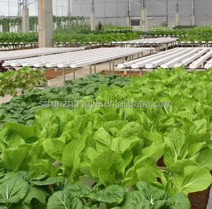 Tuyau en PVC Superfarm Nft Gully Channel pour système de culture hydroponique - Product Image 4