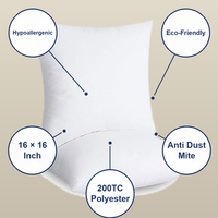 Coussins décoratifs d'intérieur 16 x 16 pouces carrés, hypoallergéniques, en polyester, insert de coussin