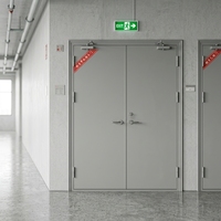 Porte d'urgence en acier métallique ignifugée personnalisable pour laboratoire commercial, salle d'hôpital, école et hôpital