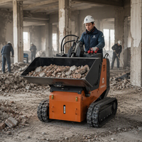 Chargeuse sur pneus compacte de 950 kg pour la démolition et la manutention de matériaux