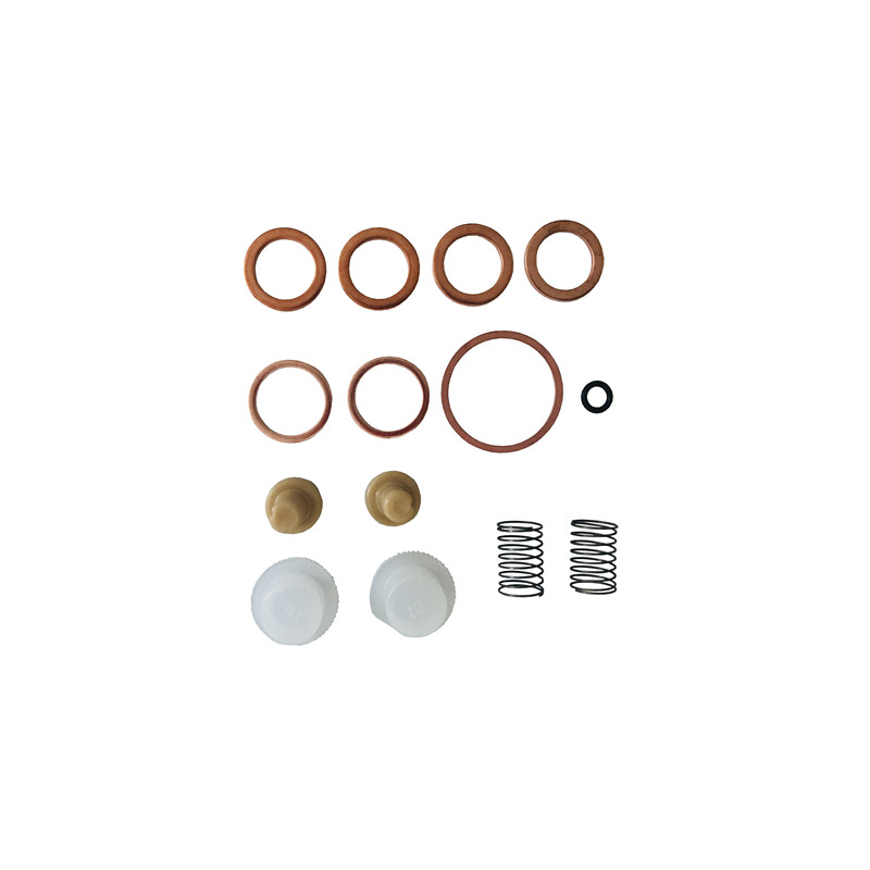 Diesel Injection Pump Repair Kits 2447010004