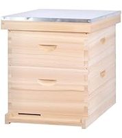 Nouvelles ruches Langstroth à 2 niveaux en bois de sapin pour l'apiculture, kit de 10 cadres avec joint en queue d'aronde pour les abeilles
