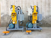 Démonte-moteur de machine à laver pour la récupération du cuivre, machine de démontage de générateur automobile, machine de découpe de moteur pour le recyclage des métaux BSM-50