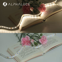 Bande lumineuse LED flexible 24V à haute efficacité lumineuse 145LM/W, SMD2835, 128 LED/m, blanc chaud, CE Rohs, pour la décoration de fête à thème