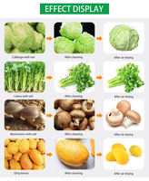 Fruit En Groenten Wassen Zout Verpletterende Wasdrooglijn