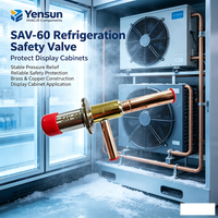 Régulateur de pression d'accumulateur en cuivre SAV20, raccordement gaz chaud, expansion à pression constante pour compresseur de climatiseur de réfrigération