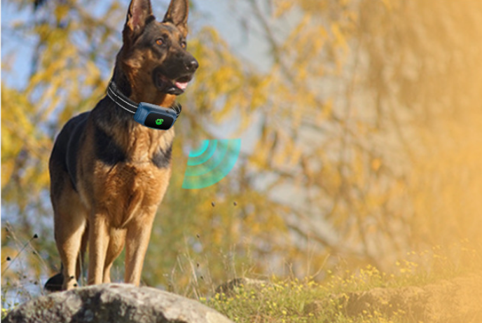 Wireless Electronic Dog Trainer Anti-Barking Training Collar - Densly Electronic