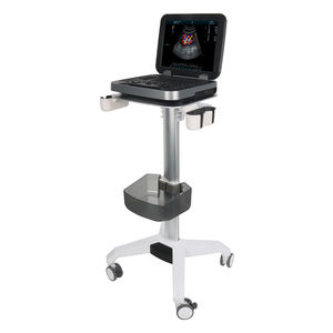 Troli Probe <span class=keywords><strong>Ultrasound</strong></span> Portabel dari Paduan Aluminium dengan Desain Modern, Pengaturan Tinggi Manual 870-1020mm untuk Penggunaan di Rumah Sakit, Ruang Makan, dan Sekolah - Product Image 5