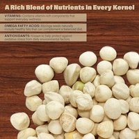 Graines de Moringa PKM1 - Produits de biohacking pour le bien-être anti-âge et la longévité - 100% Moringa Oleifera brute pour la détoxification
