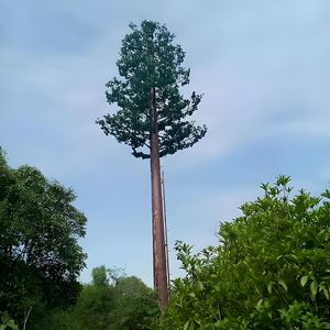 Direkt lieferung ab Werk Ein spalt iger baum förmiger Turm Ökologischer Bereich 4G 5G-Signalabdeckung Wind resistenter Baumturm - Product Image 4