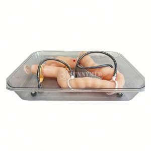 Хирургический симулятор толстой кишки, медицинская обучающая модель пищеварительной системы, гастродуоденальная модель для эндоскопического обучения ESD - Product Image 4