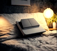 Interrupteur sans fil gris précieux à 2 touches, auto-alimenté, sans batterie, télécommande pour la maison, le magasin et le bureau, contrôle intelligent