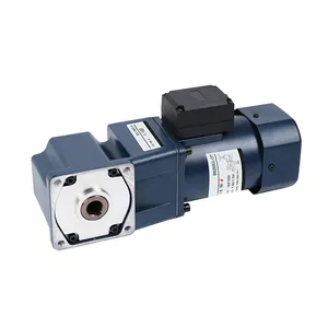 High Quality Product Hollow Shaft Ac Gear Motor Right Angle Ac Gearmotor