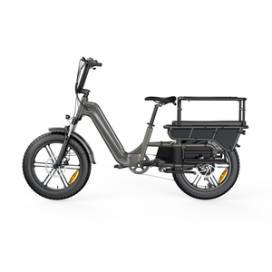 Bici Elettrica <span class=keywords><strong>Cargo</strong></span> EU Hot Sale con Batteria da 15Ah a Lunga Autonomia, Freni Idraulici e Grande Capacità - Bici Elettrica Multiuso - Product Image 2