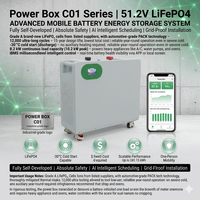 Batterie de stockage d'énergie domestique 48V 16kWh LiFePO4, système d'alimentation de secours solaire hybride avec BMS intégré, 6000 cycles, CE, OEM