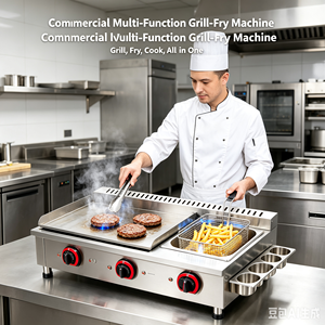 Gas Combined Griddle <b>Fryer</b> Independent Temperature Control Teppanyaki Deep <b>Fryer</b> For Street Food Stall - Product Image 2