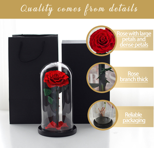 Rosas Auténticas Lovebay para <span class=keywords><strong>el</strong></span> Día de San Valentín, Rosas Eternas Preservadas, Rosas Naturales Preservadas en Cúpula de Cristal - Product Image 6