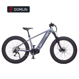 DOMLIN 26 Inch Aluminum Alloy Frame E Bike 1000W 48V Fat Electric Heavy Bike