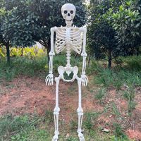 Nouveau squelette humain articulé 2026 pour Halloween, peut tenir debout