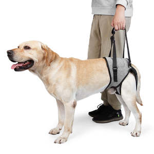 Tali gendongan anjing peliharaan <span class=keywords><strong>Senior</strong></span>, dengan bantalan, menangani mereka, <span class=keywords><strong>Harness</strong></span> kerja untuk rehabilitasi anjing, baju operasi cacat - Product Image 1