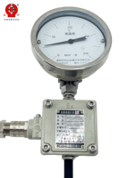 Termómetro Bimetálico a Prueba de Explosiones BWSSP Ex d IIC T6 Gb Pt100 RTD con Salida Remota, Carcasa de Acero Inoxidable, Indicador de Dial, OEM/ODM, IP66 1.5/2.0