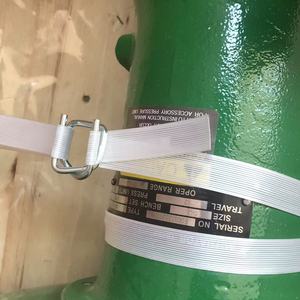 ตัวกระตุ้นไดอะแฟรม Fishere 657 667 พร้อมตัวแปลงไฟฟ้า-ลม 582i - Product Image 3