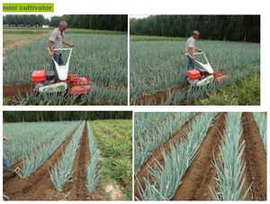 Mini Cultivador/ Motocultor a Precio Económico en Venta/ Mini Motocultor de Gasolina Manual para Agricultores - Product Image 6