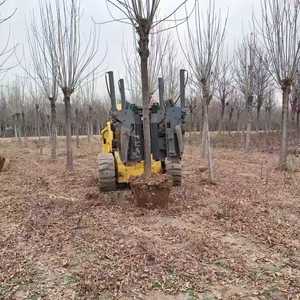 Transformación de huertos frutales: Nuevo equipo para la eliminación de árboles - excavadoras y máquinas para excavar árboles - personalizable - Product Image 6