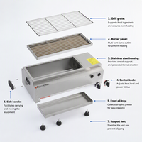 Barbecue au gaz en acier inoxydable robuste DanFuQi, réduction du bruit, nettoyage facile, équipement de cuisine commercial
