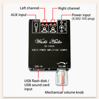 Module d'amplificateur audio numérique BT WUZHI AUDIO ZK-1002A, module sonore stéréo 2.0, double canal 100W+100W