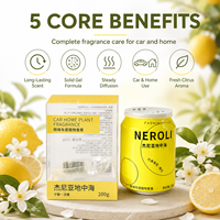 Désodorisant Solide Naturel Écologique à la Néroli Méditerranéenne, Longue Durée, Double Usage Voiture & Maison, Marque Blanche en Gros