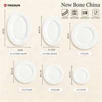 Assiette de table en porcelaine fine New Bone China, de qualité supérieure, élégante, de luxe, personnalisable, résistante au lave-vaisselle, pour mariage