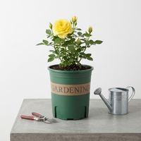 Pots en plastique PP fabriqués en Chine, pour plantes de jardin, intérieur/extérieur, pots à fleurs pour sol, trou de drainage, durables, légers, luxueux, contemporains