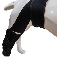 Attelle de genou réglable pour chien OEM – Soutien articulaire, protection et récupération pour les membres – Orthèse pour l'ACL