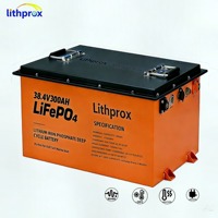 Neue LiFePO4-Technologie 38,4V 300AH Mobilitätsfahrzeugbatterie Vibrationsfest Stabile Leistung für Mobilitätsroller CE RoHS FCC