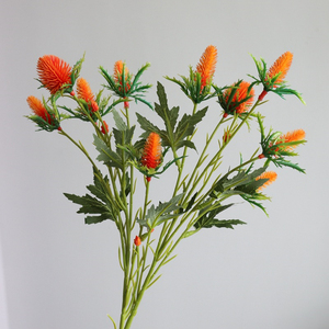 Simulation de fleur artificielle de bonne qualité, 10 têtes, <span class=keywords><strong>Eryngium</strong></span> <span class=keywords><strong>Foetidum</strong></span>, décoration florale de salon - Product Image 3