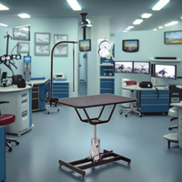 Table d'opération électrique pliable professionnelle en acier inoxydable écologique pour vétérinaires avec recharge USB – Offre Spéciale